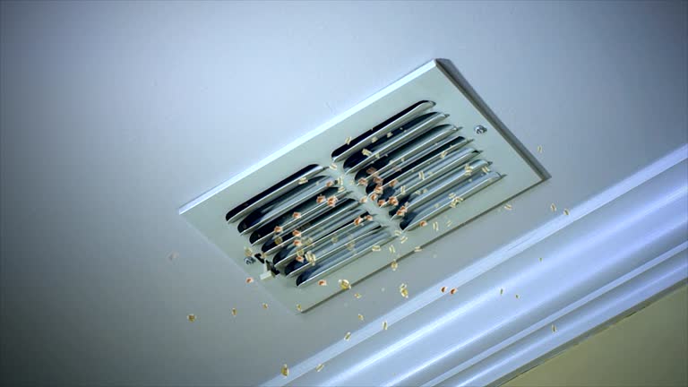 Best Affordable Air Duct Cleaning  in Dubach, LA
